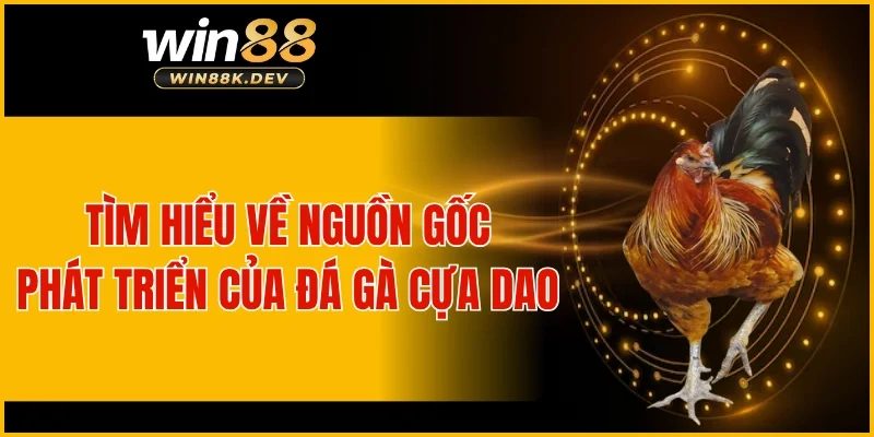 Tìm hiểu về nguồn gốc phát triển của đá gà cựa dao